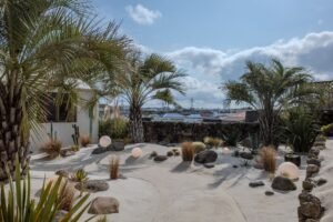 Cafe Cheese Tabby, Jeju: The Church at the Edge of Somewhere Else