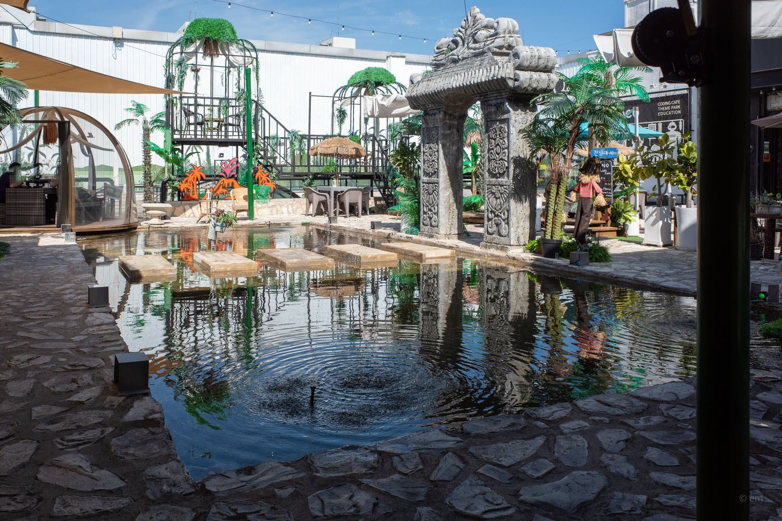 Someday Romance, Daejeon: Tropical Fantasy on the Sixth Floor